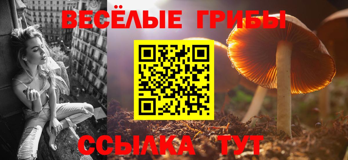 Псилоцибиновые грибы мицелий Санкт-Петербург